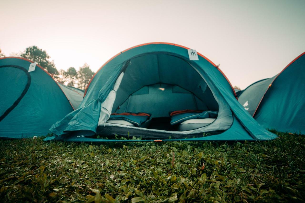 The Esn Kingsday Campsite Ámsterdam Exterior foto